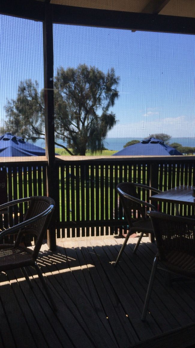 ここでランチです