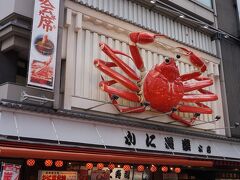 自宅のある兵庫県から南海電車に乗るため、大阪・難波に行きました

この日、和歌山出張の主人とは旅館で待ち合わせ

ひとりでブラブラ、難波の街を楽しみました