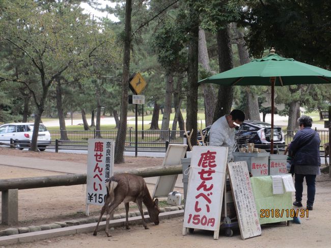 奈良公園の鹿せんべい売り屋さん。何故か、鹿せんべいのお店のせんべいに鹿は手(口)をつけません。<br />お客さんが買ったのを見て、お客さんのせんべいに群がります。<br />