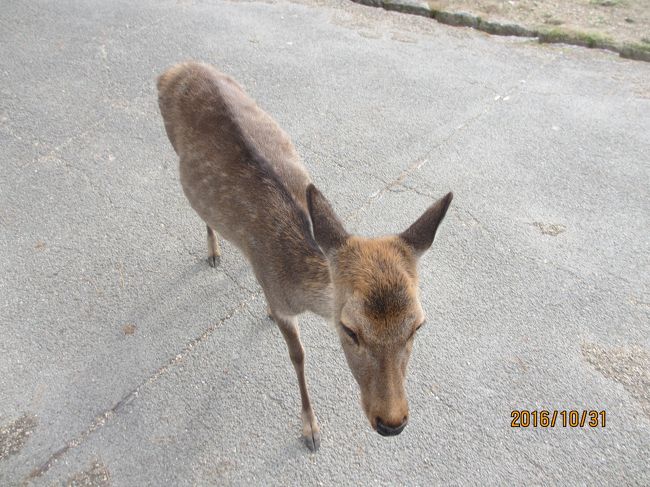 寄られている私。<br />「何もないよ～(~_~;)」通じないけど・・・。