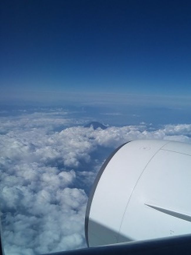 きょうは石垣島までいくだけにしました。沖縄経由石垣行き。<br />クラスJのすぐ後ろの席。隣りもいないし前も広々。定番の富士山を眺めて沖縄まで。<br /><br />搭乗まえにDPラウンジにはいりました。お昼だったのでおにぎりを一つとスープを一杯いだきました。いまスープなんかもあるんですねー。ただ抗生物質を飲んでいるせいでお腹が緩くいっしょにもらった下痢止めも念のため飲んでおきました。