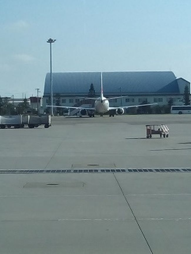 JTAのボーイング737。<br />バスラウンジから真後ろが見えてます。<br />後ろ姿が美しい、おもわず一枚。