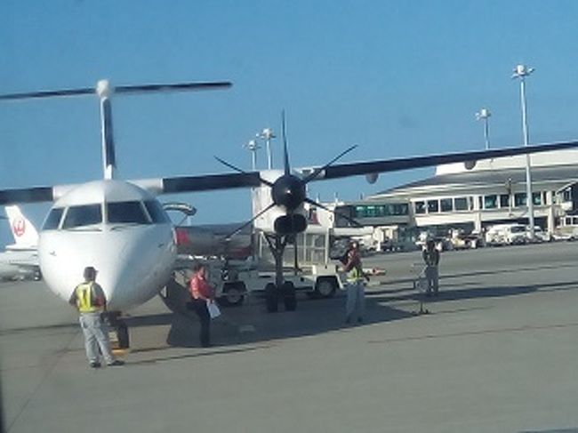 これからこの飛行機に乗ります。<br />RAC705便ボンバルディアDHC8-Q400CC<br />どうせならこれに乗ろうと沖縄経由にしました。<br />いいでしょう？<br />RAC一日一便飛んでます。