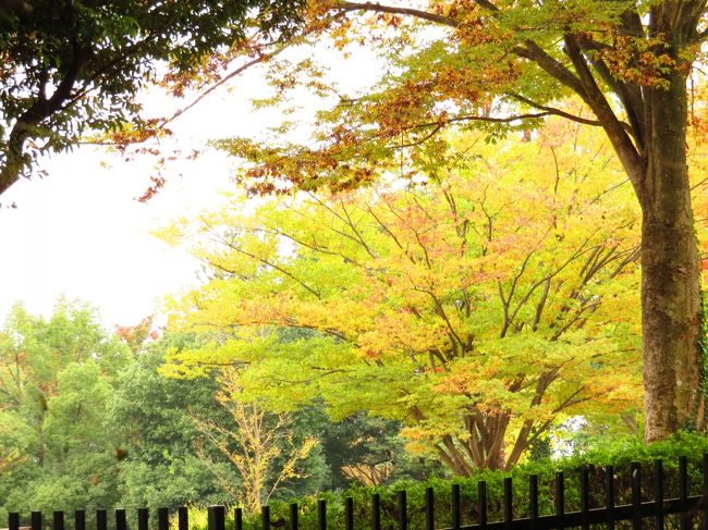 紅葉のきざしの中秋の森林公園を新しいコンデジPowerShot SX720