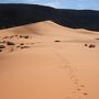 アメリカ西部17　コーラルピンクサンドデューンズ探訪　☆砂漠地帯の砂丘を歩く