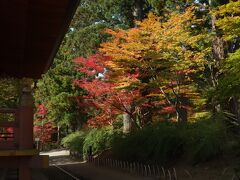 次いで訪れたのが毛越寺。