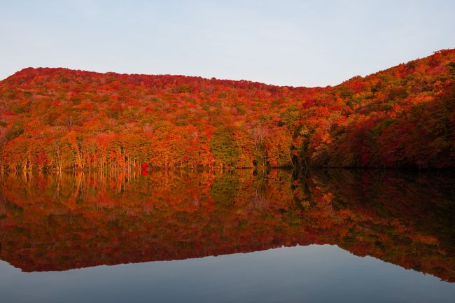 凄い 凄すぎる 八甲田の紅葉と黄葉 城ケ倉大橋 蔦沼 奥入瀬渓流 で黄葉にまみれる 奥入瀬 十和田湖 青森県 の旅行記 ブログ By 旅人隊長さん フォートラベル