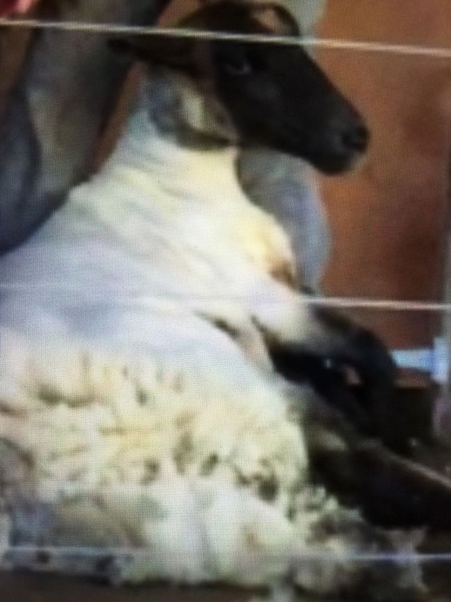 スッキリしました☆