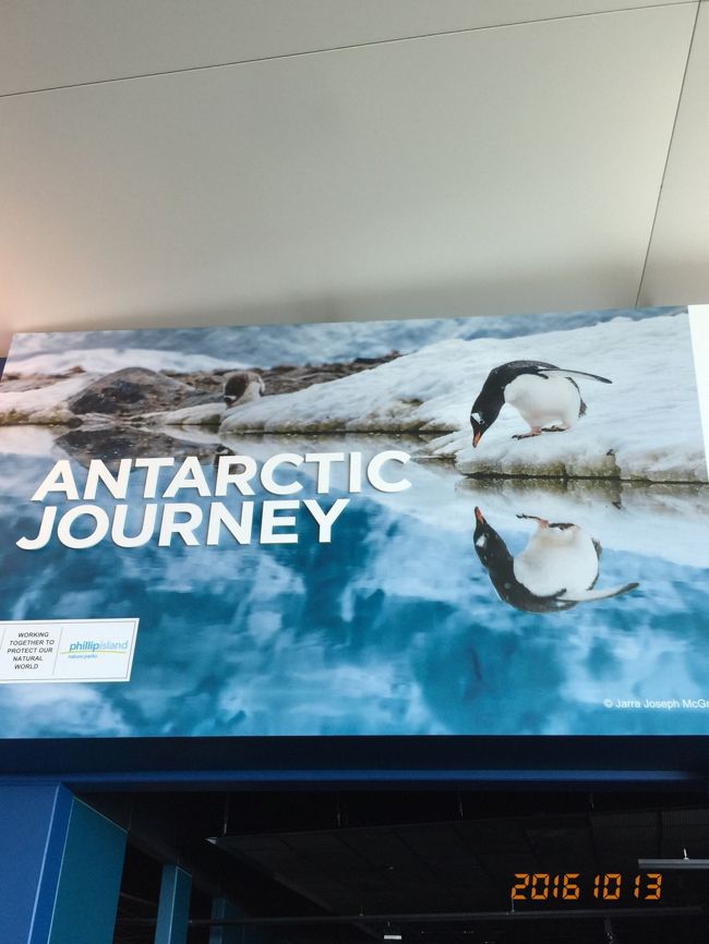 こちらへ入場します