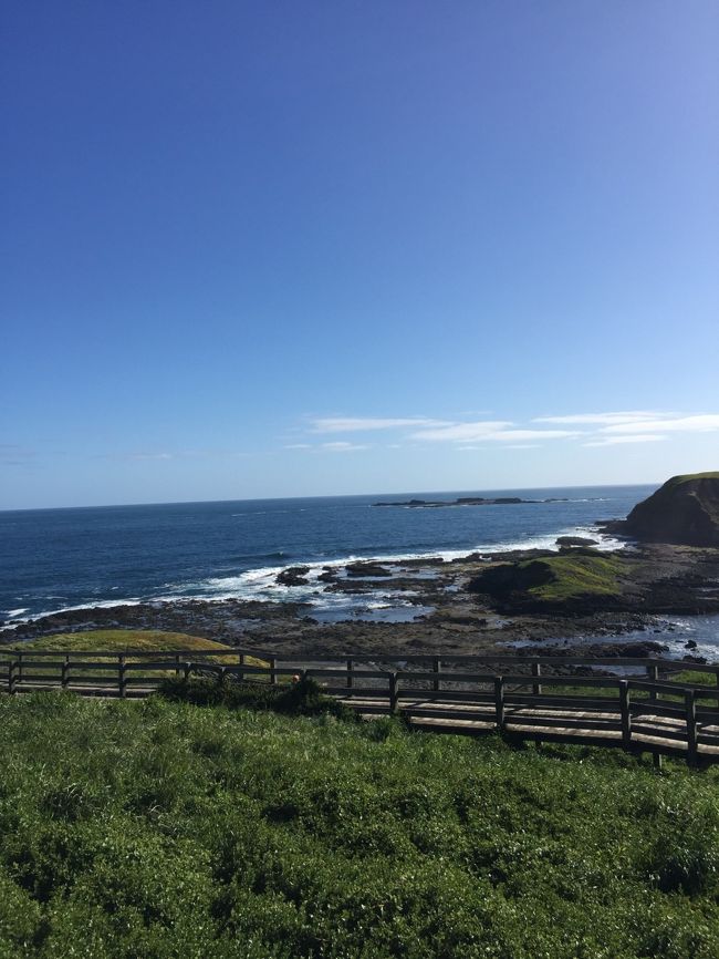 ノビーズセンター