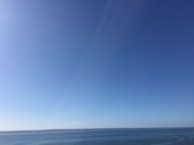 ノビーズセンター