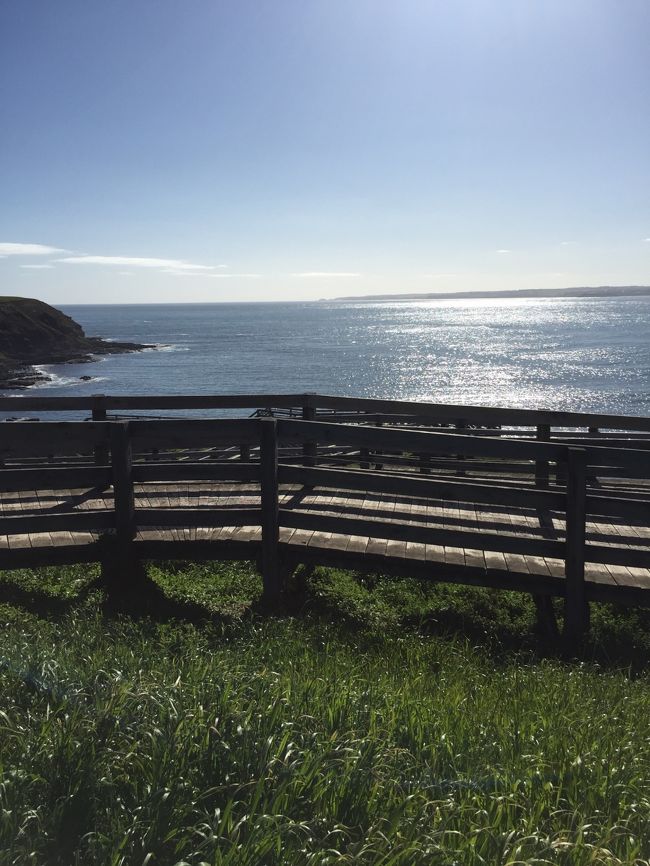 ノビーズセンター