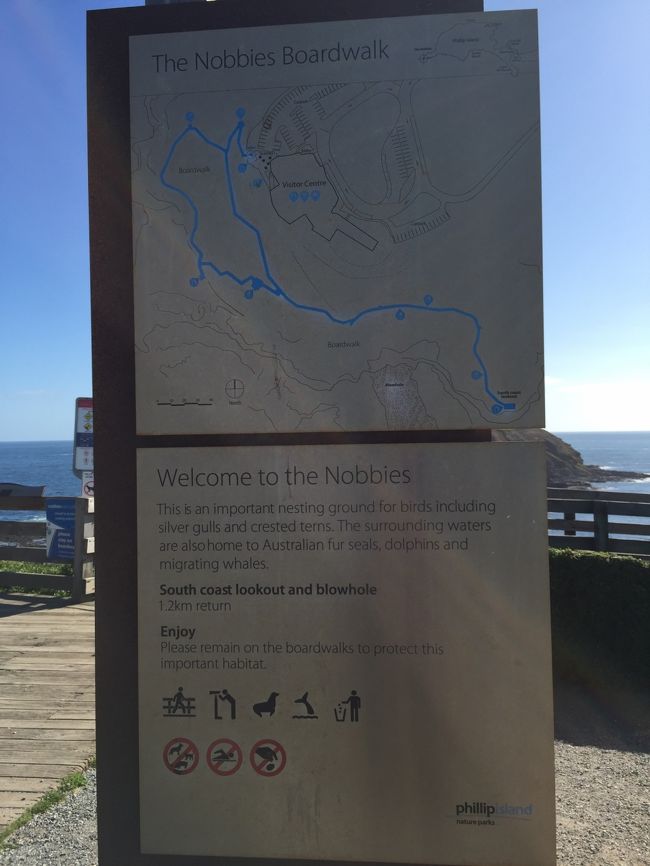 ノビーズセンター