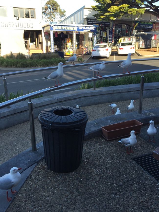 平日なので閉まっている店が多かったです