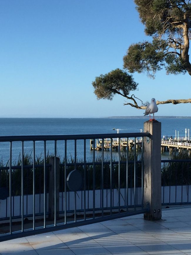 まだ時間があるので海辺のベンチで同じツアーのジョージア州から来た方とおしゃべりして待ちます