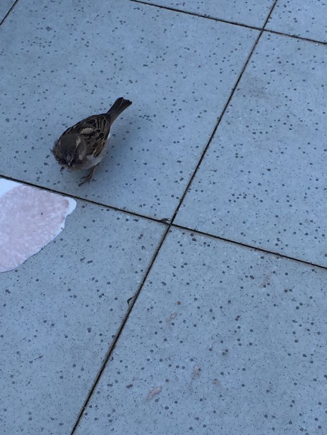 そろそろ移動の時間です