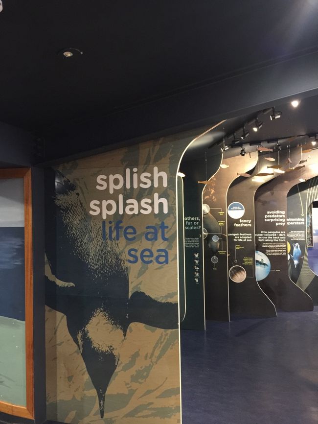 ペンギンは撮影禁止なので写真はありません