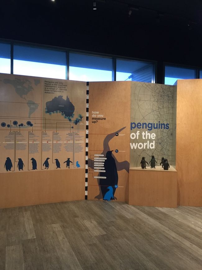 このツアーではペンギンplusのチケットなので<br />本当に眼の前で可愛いペンギンを見ることができます<br />パレードを見る場所は<br />ガイドさんがここに来る前に周辺道路から<br />ペンギンplusの場所を教えてくれていたのですぐにわかりました<br /><br />写真禁止なので可愛い姿を目に焼き付けてきました