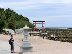 空港近くのトヨタレンタカーでVitzを借りて、いざドライブに出発！
ちなみに昼ご飯をどこで食べるかノープランだったので
レンタカー店にあった「無料版るるぶ」が重宝しました。

最初に着いたのは、青島神社。
空港からは20分程度で着きます。

鳥居のある所まで、そこそこ歩きますが
天気もちょうどよくて、絶好の散策日和。
