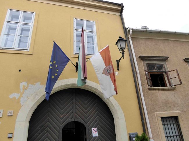 中にはこんな国旗を立てた建物もあります。<br /><br />ところが・・・。<br />