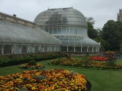 【Botanical Gardens】
この温室はCharles Lanyon卿によってデザインされたもので、
彼はお隣にあるクイーンズ大学の設計部分の手伝いもした方なんだそうです。
植物園は1828年に設立されて温室自体は1852年に追加されました。

設立時から1895年に市の管理になるまで色んな方が個人で持っていたそうですが、
植物園は莫大な維持費がかかる為に市議会によって売りに出されたそうです。

入場料＝無料