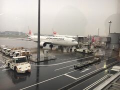 2016年１１月１日火曜日。羽田空港に６時40分集合。
みんなはしゃいでいる中、飛行機恐怖症のムスメ１は一人「飛行機乗りたくないよ～…雨降ってる～、怖い～」とＬＩＮＥでつぶやく。
