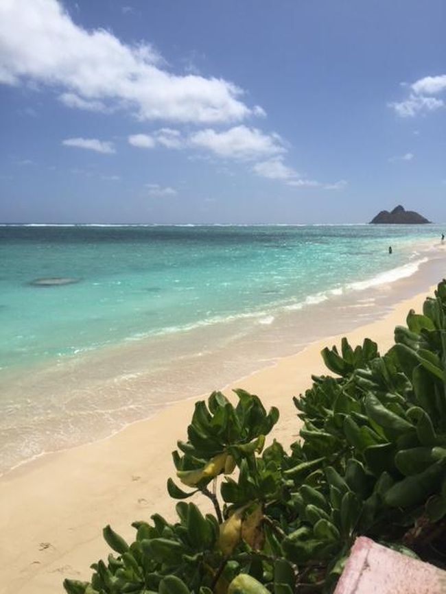 ものすごく久しぶりのハワイへ 女友達とまったり旅 3 オアフ島 ハワイ の旅行記 ブログ By Ptrabbiさん フォートラベル