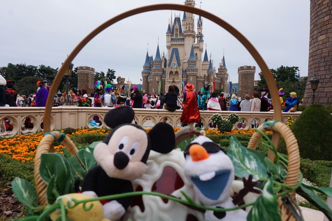 Disney S Halloween 16 誕生日に仮装して遊んできた In 東京ディズニーランド 東京ディズニーリゾート 千葉県 の旅行記 ブログ By Yuさん フォートラベル