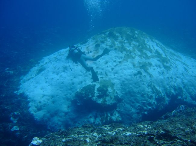 この白い小山は何かというと白化してしまった<br />巨大サンゴだそうです。<br />水温が高く死んでしまったそう。<br />