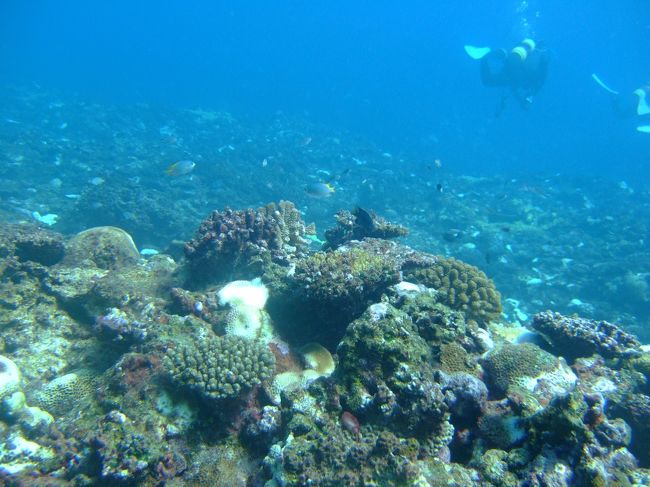 まだ日差しがあるので綺麗です。