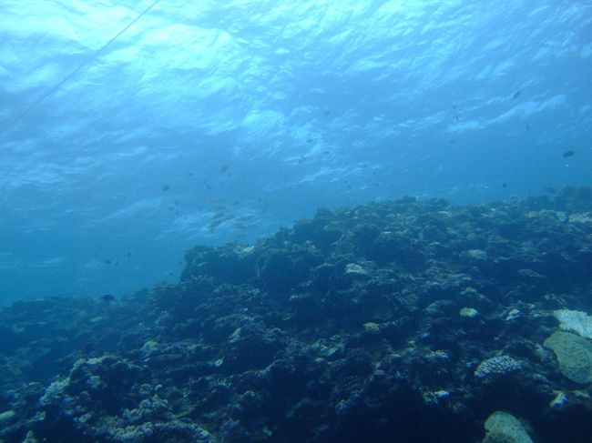 ３日目<br /><br />さらに風と波が･･･<br />完全に時化てます。