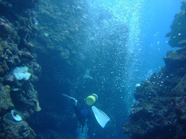 関東から遠征したのに天候に恵まれず<br />がっかりでしたが次回に向けて日ごろの行いに<br />気をつけてまたリベンジしに戻って<br />きたいと思いました。
