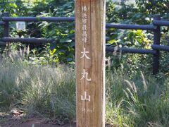 ピークを踏んでと。