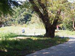 今は原っぱですが、復興されるのが楽しみ。
世界遺産候補だと聞いたことがありますが・・・
