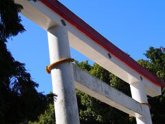 白い鳥居で有名な鎌倉宮

お参りしてからトイレをお借りしました。