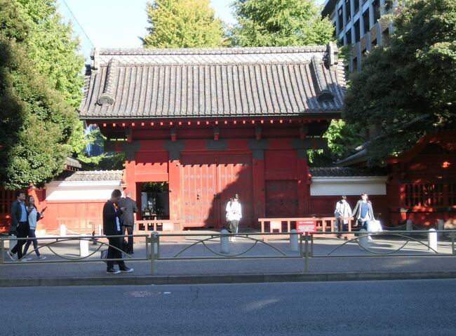 東京文学・歴史散歩5。本郷から湯島その2:樋口一葉終焉の地から東大構内、湯島天神にかけて。