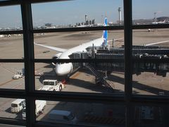 我らを乗せる準備中のNH215便。
機材はBoeing 787-9国際線仕様機。
最新のシートなのでワクワク！
エコノミー約12時間のフライトです。
がんばるぞー
