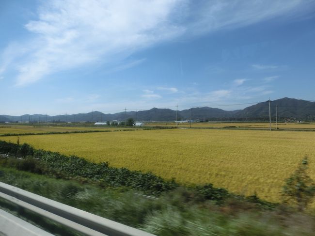 異国感あまりないまま、