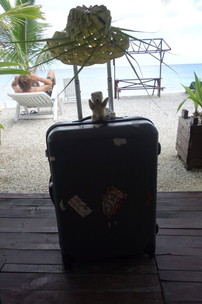 前の日、ピクニックでもらった帽子はまだ元気！