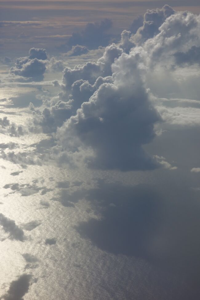 しばしのフライト。