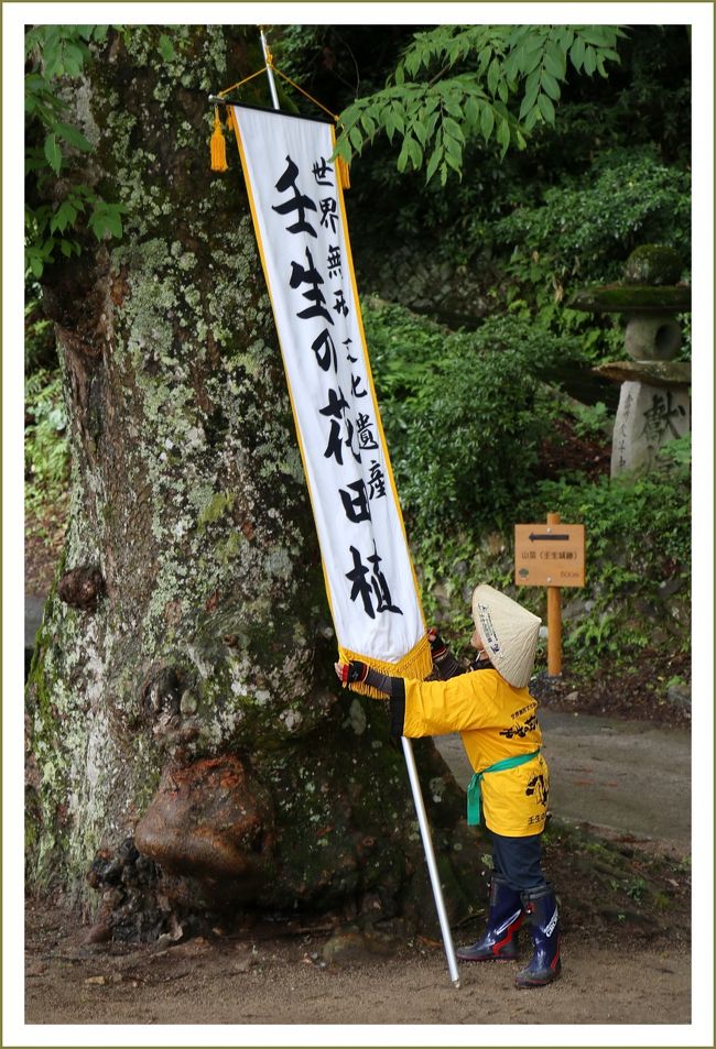 52 値下げしました　古民具、花田植、牛鞍、 52 古民具、花田植、牛鞍、