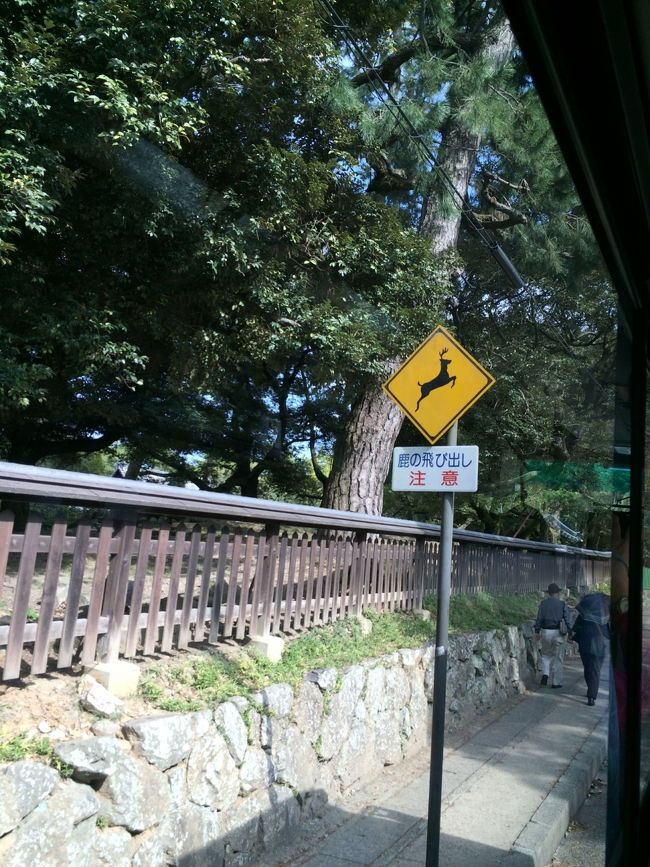 バスは奈良公園に入ってきました。<br />鹿注意の看板。