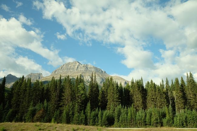 パイロット山（2,941m）<br />上空より確認しやすいためパイロットの目印となることから<br /><br />日本語で解説してくれるからぼ～っと聞いてても理解できるから快適！！と激しく感動しつつ、まわりをみるとお連れ様は全員、爆睡中…zzz<br />まじか？！