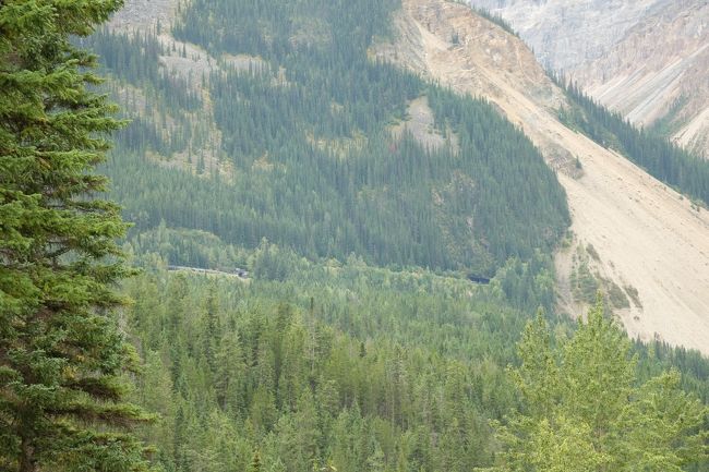 ということですぐに出発。<br />しばらく走ると別の角度からですが、電車が頭とお尻を出してるところに遭遇しました！<br />肉眼でみたら動いてたからよくわかったんだけど、写真だとイマイチだね。