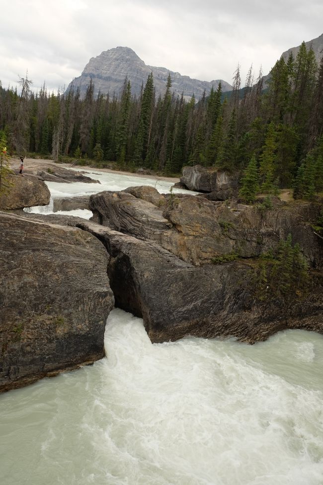 氷河の溶け水によるキッキングホース川の水流が、石灰岩の川底を長い時間をかけてくり貫いて、岩が自然の橋のようになっているからナチュラル・ブリッジ