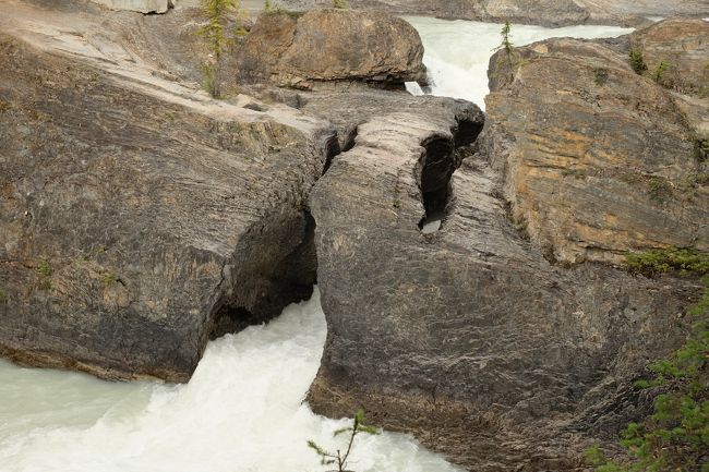 昔はナチュラルなブリッジの上をほんとに歩いて渡れたらしい！<br />落ちると確実に死ぬので、近年禁止されたそうな<br /><br />というわけでナチュラルブリッジの横の人工的な橋の上から観察。