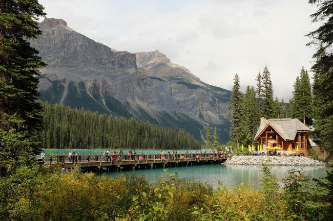 本日最後の目的地、エメラルドレイクへ<br /><br />さて、このエメラルドレイクですが、レイクルイーズを最初にエメラルドレイクと名前を付けたおじさんが、名前をレイクルイーズに変えられてしまったので（きっとちょっとムッとしたのでしょう）ハンティングの途中で見つけたこの湖をエメラルドレイクと名前を付けただそうです。