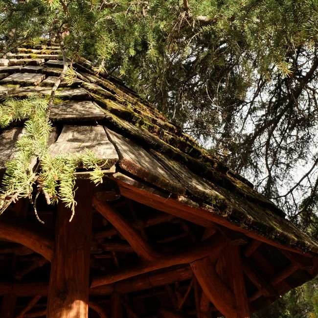 スナフキンの住んでそうな東屋でモーレンレイクで買ったミートパイをいただきました。