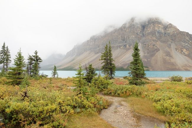 雨はなんとかやんでいるので、しばし散策