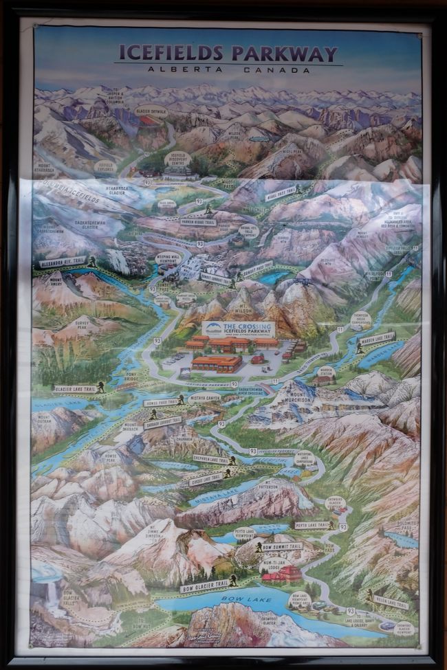 ドライブインで休憩。<br />アイスフィールドの全貌がよくわかるマップがあったので欲しいな思って探したけれど見つけられず。<br />とりあえず撮影